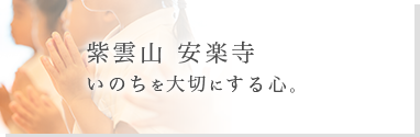 浄土真宗本願寺派 紫雲山 安楽寺